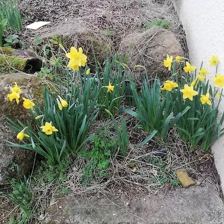 2 Pieces Au Calme A La Campagne !